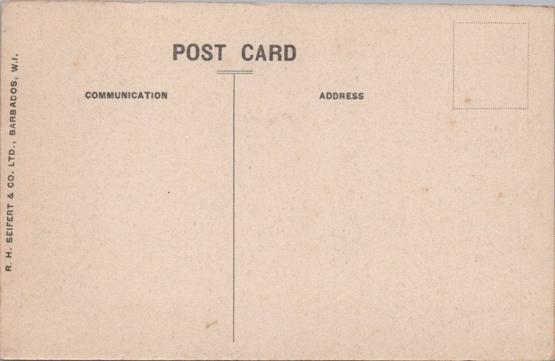 Barbados Pinfold Street Vintage Postcard 02.99