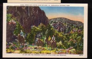 Virginia Postcard Skyland Horseback  Little Stony Man Mtn