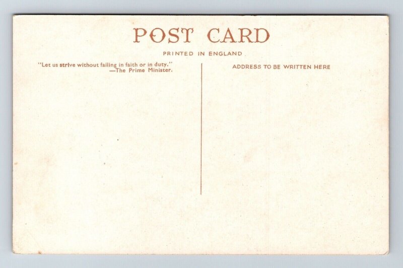 Embankment From County Hall London WB Postcard UNP Unused England Lamp Posts 
