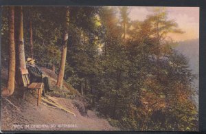 Germany Postcard - Partie Im Eifgental Bei Altenberg     RS11854