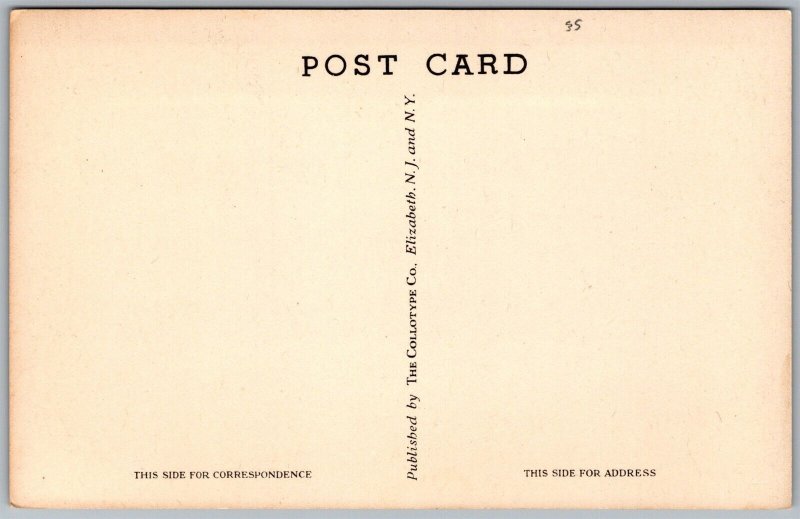 Vtg Massachusetts MA Cold River Bridge Mohawk Trail Old Collotype Postcard