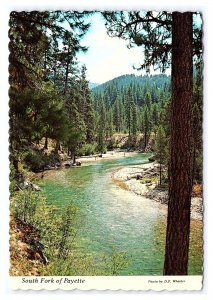 South Fork Of Payette Idaho Postcard Continental View Card