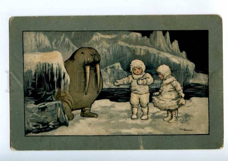215889 POLAR Exploration WALRUS by PARKINSON Vintage postcard