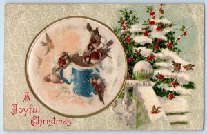 Christmas Postcard Song Birds And Holly Berries Winsch Back Embossed 1909 Posted