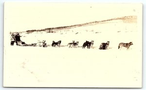 1930s ALASKA DOG SLEDDING TEAM HUSKY MALAMUTE TUNDRA RPPC POSTCARD P2418