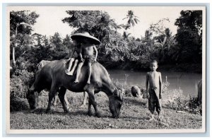 c1920's Candid Children Boys Cows River Pigs Java Indonesia RPPC Photo Postcard 