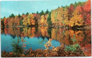 Mohawk Trail fall autumn foliage , Massachusetts postcard