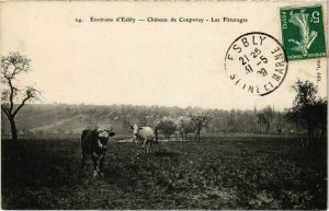 CPA Environs d'Esbly - Chateau de Coupvray - Les Paturages (1037710)