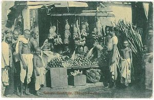 12238 - CEYLON   - Postal History - Registered Cover to ITALY - Elephants 1950