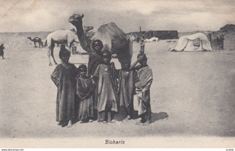 Bicharis & Camel , Egypt , 00-10s