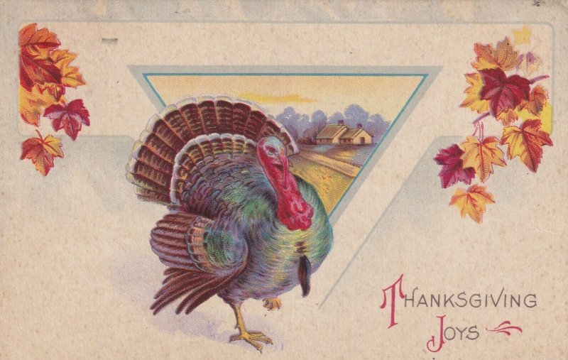 THANKSGIVING, 1900-10s; Joys, Wild Turkey & Country Scene