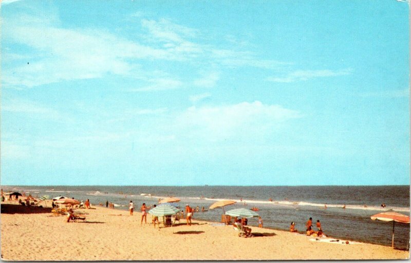 1960s Ocean City Maryland Greetings From Brueckmann Postcard FG