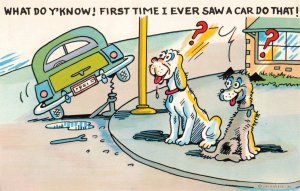 Dogs Car on Jack Wrench Postcard 2R5-429 