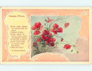 c1910 language of flowers C. PRESTON-WYNNE QUOTE WITH FLOWERS - SIGNED HL5992@