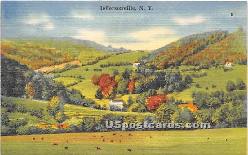 Birds Eye View Jeffersonville NY Unused