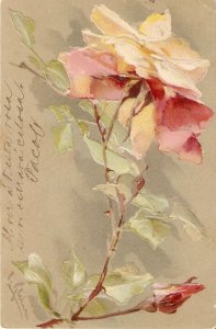 Flowers. Beautiful rose and buds  Nice old vintage German embossed postcard