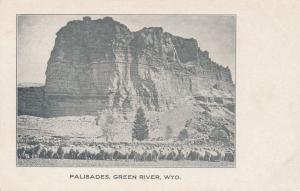 Sheep Herd at the Palisades - Green River WY, Wyoming - UDB