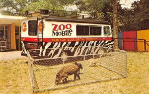 Dorchester Massachusetts The Children's Zoo Franklin Park Zoomobile PC JE359176