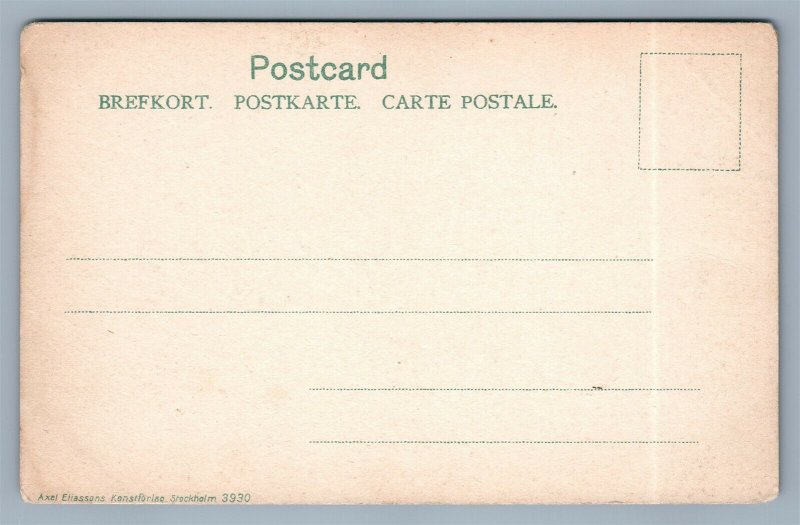 SWEDEN KOPING ANTIQUE POSTCARD