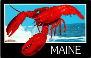 Red Lobster Ocean View Maine ME Postcard