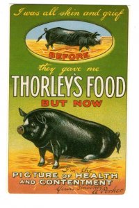 Thorley's Food, But Now,,  Advertising Black Pig