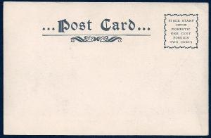 Camels @Druid Hill Park Baltimore Maryland unused c1905