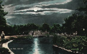 Vintage Postcard 1900's View of Lily Pond Belle Isle Detroit Michigan MI