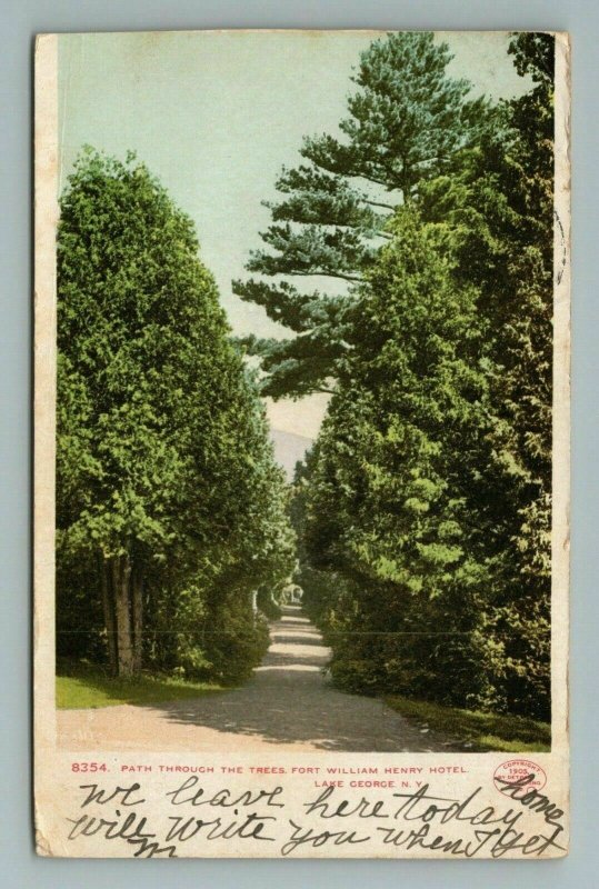 Fort William Henry Hotel Lake George Tree Path New York Postcard Antique 