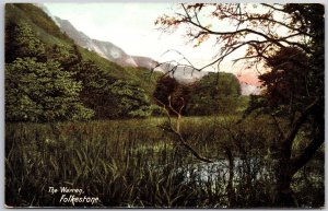 The Warren Folkestone Biological and Geological Site  Postcard