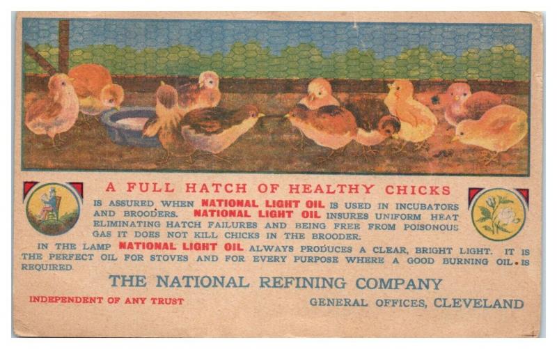 Hatch of Healthy Chicks, National Refining Co. Cleveland, OH Postcard *5E4