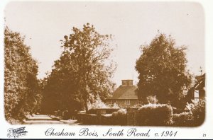 Buckinghamshire Postcard - Chesham Bois - South Road c1941   AB2458