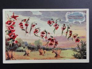 Poppies Postcard: Language of Flowers I DREAM OF THEE c1913 - Donation to R.B.L.