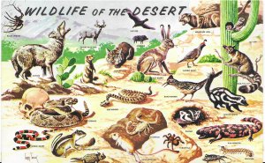 US. unused. Wildlife in the Southwestern Desert.  *residue on back side.