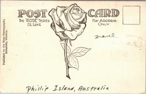 Rose Series P 652, On the Seal Rocks, Phillip Island Victoria Vtg Postcard M03