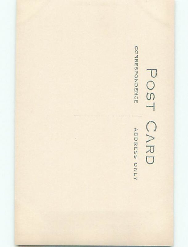 Old rppc NATURE SCENE Great Postcard AB0754