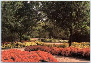 Postcard - Fall At Callaway Gardens - Pine Mountain, Georgia