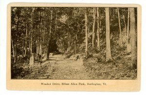 VT - Burlington. Ethan Allen Park, Wooded Drive