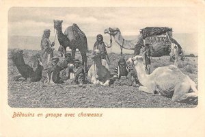 Turkey Bedouins with Camels Vintage Postcard AA48600