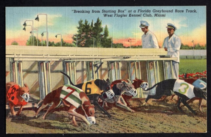 Florida MIAMI Starting Box West Flagler Kennel Club Greyhound Race Track LINEN