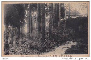 The Shukuin, On Mt' Hiei, Japan, 1900-1910s