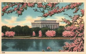 Vintage Postcard The Lincoln Memorial Monument And Cherry Blossoms Washington DC