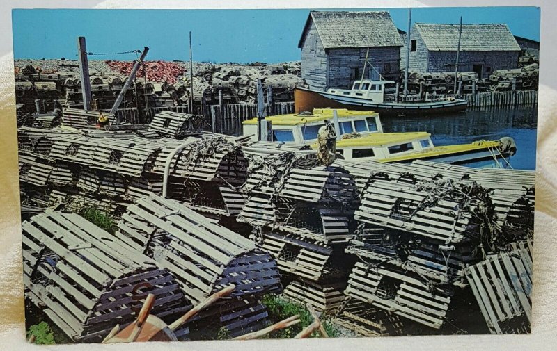 Lobster Fishing Yarmouth Nova Scotia Canada Vintage Postcard