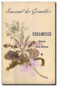 Old Postcard Fantasy Flowers dried Edelweiss Alpine Star