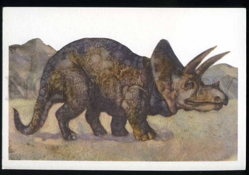 208263 RUSSIA DINOSAURS Korolev Triceratops old postcard