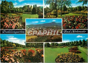 Postcard Modern Dahliengarten Bad Nenenahr