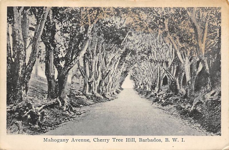 Mahogany Avenue, Cherry Tree Hill Barbados West Indies Unused 