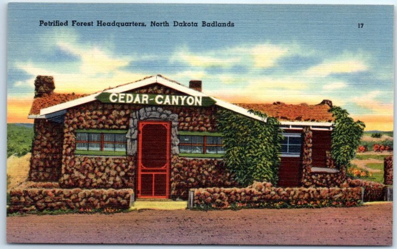 Postcard - Petrified Forest Headquarters, North Dakota Badlands - North Dakota 