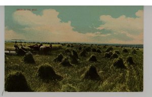 Grain Harvesting - Grain by the Mile