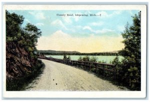 1923 Scenic View County Road Lake Trees Ishpeming Michigan MI Vintage Postcard