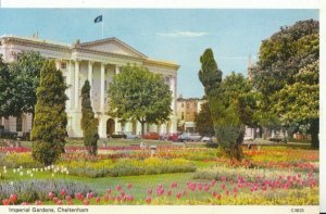 Gloucestershire Postcard - Imperial Gardens - Cheltenham - Ref 7003A